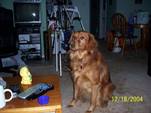 000_0003.jpg
